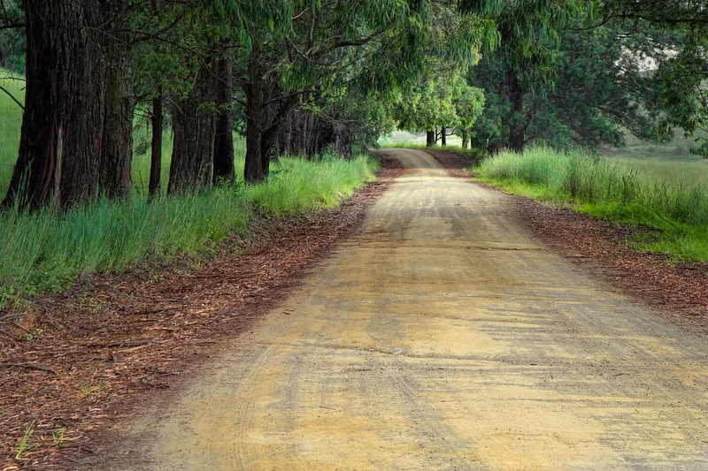 The Road Ahead: What Matters Now